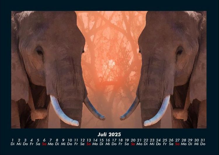Produktbild: Welt der Tiere 2025 Fotokalender DIN A4