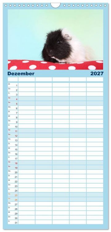 Produktbild: Familienplaner 2027 - Niedliche Meerschweinchen mit 5 Spalten (Wandkalender, 21 x 45 cm) CALVENDO