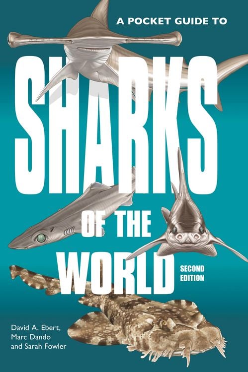 Produktbild: A Pocket Guide to Sharks of the World