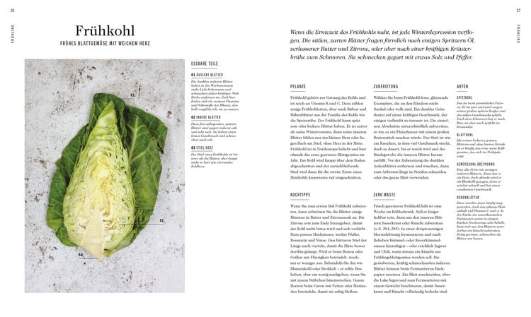 Produktbild: Frische Gem&uuml;sek&uuml;che