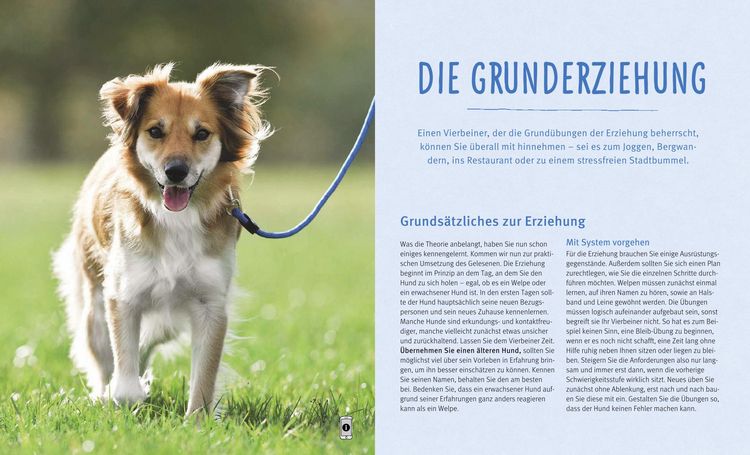 Produktbild: Hundeerziehung