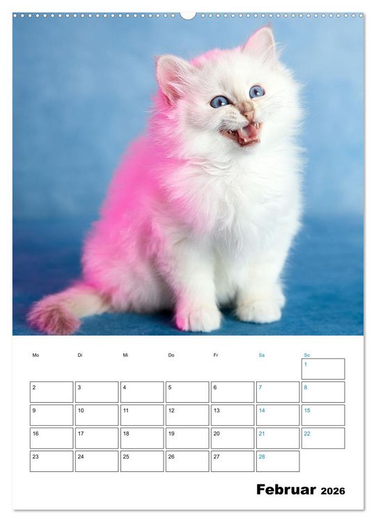Produktbild: Heilige Birma Kitten - s&uuml;&szlig;e kleine Flauschb&auml;llchen (Wandkalender 2026 DIN A2 hoch), CALVENDO Monatskalender