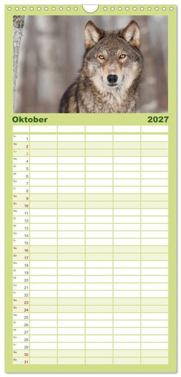 Produktbild: Familienplaner 2027 - W&ouml;lfe. Verwegene Anmut mit 5 Spalten (Wandkalender, 21 x 45 cm) CALVENDO