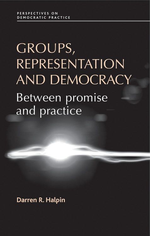 Produktbild: Groups, representation and democracy