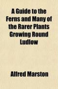 Produktbild: A Guide to the Ferns and Many of the Rarer Plants Growing Round Ludlow