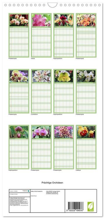 Produktbild: Familienplaner 2026 - Pr&auml;chtige Orchideen mit 5 Spalten (Wandkalender, 21 x 45 cm) CALVENDO