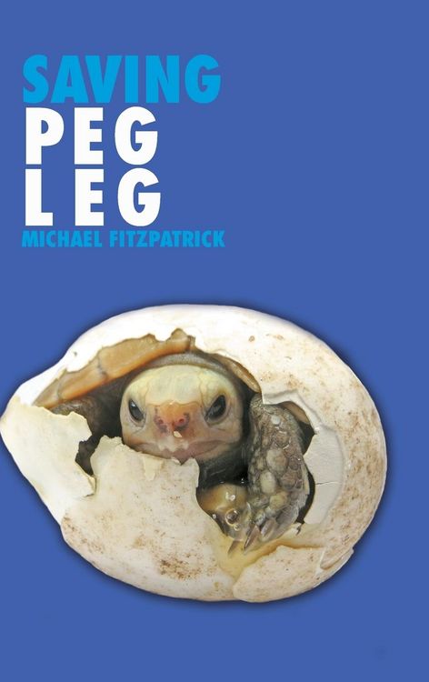 Produktbild: Saving Peg Leg