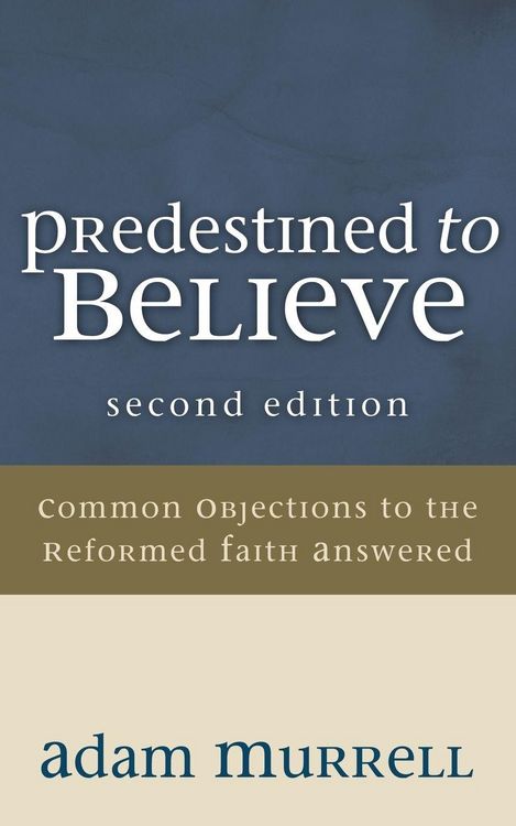 Produktbild: Predestined to Believe