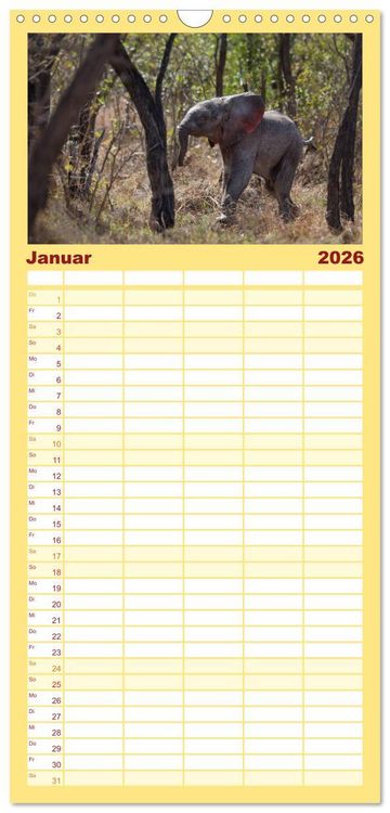 Produktbild: Familienplaner 2026 - Tierbabys 2026 mit 5 Spalten (Wandkalender, 21 x 45 cm) CALVENDO