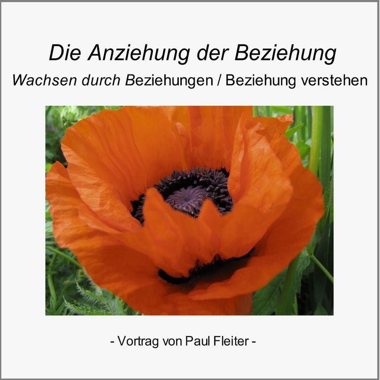 Produktbild: Die Anziehung der Beziehung