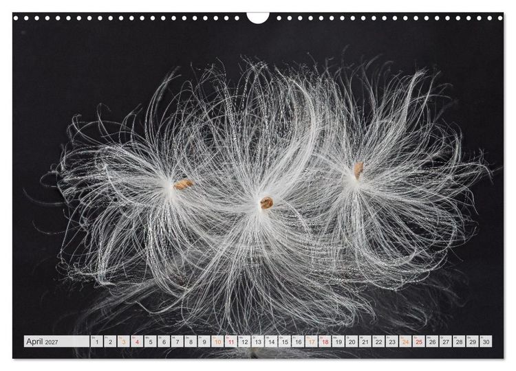 Produktbild: Zauber der kleinen Dinge (Wandkalender 2027 DIN A3 quer), CALVENDO Monatskalender