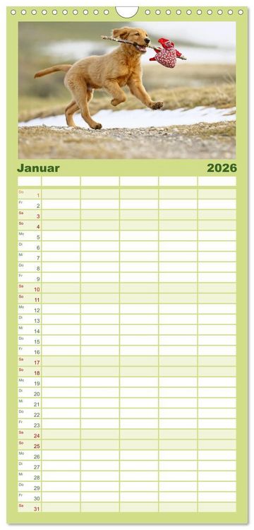Produktbild: Familienplaner 2026 - Chesley Kleiner Hund grosse Abenteuer mit 5 Spalten (Wandkalender, 21 x 45 cm) CALVENDO