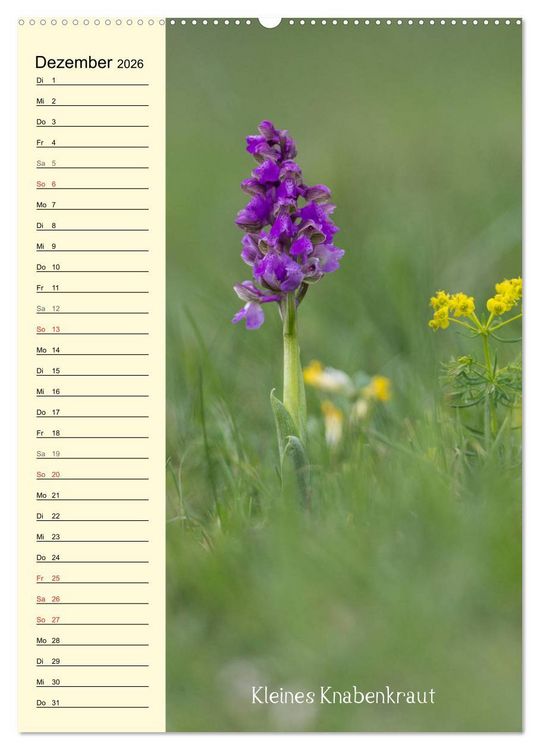 Produktbild: Wildwachsende Orchideen in Bayern (Wandkalender 2026 DIN A2 hoch), CALVENDO Monatskalender