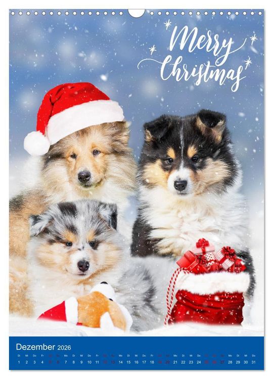 Produktbild: Traumhund Collie - Gl&uuml;ck auf vier Pfoten (Wandkalender 2026 DIN A3 hoch), CALVENDO Monatskalender