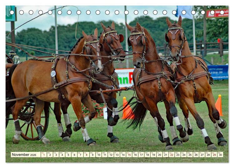 Produktbild: Four-in-hand Driving Challenge (Desk Calendar 2026 DIN A5 landscape), CALVENDO 12 Month DeskCalendar