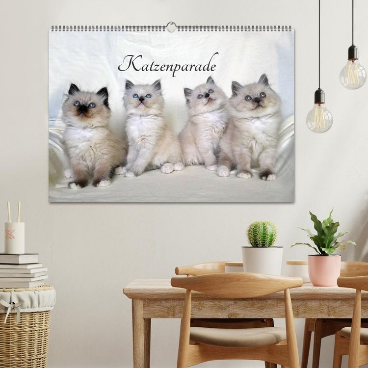 Produktbild: Katzenparade (Wandkalender 2026 DIN A2 quer), CALVENDO Monatskalender