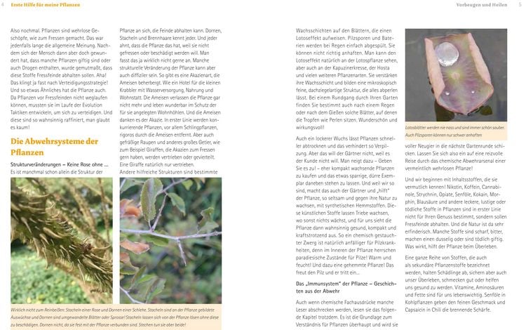 Produktbild: Handbuch Pflanzenschutz im Biogarten