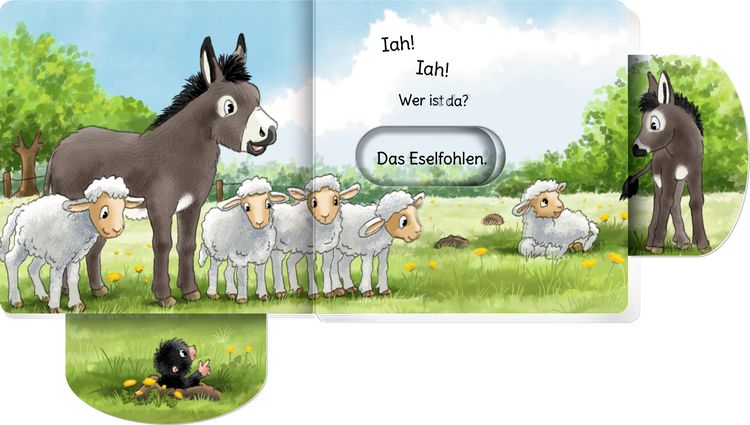Produktbild: minifanten 47: Quak! Quak! Wer ist da?