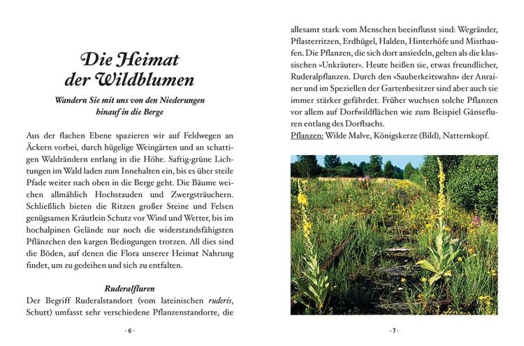 Produktbild: Das kleine Buch: Wildblumen auf Wiesen und Almen