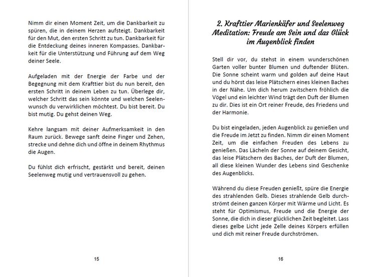 Produktbild: 52 Seelenweg und Krafttier Meditationen