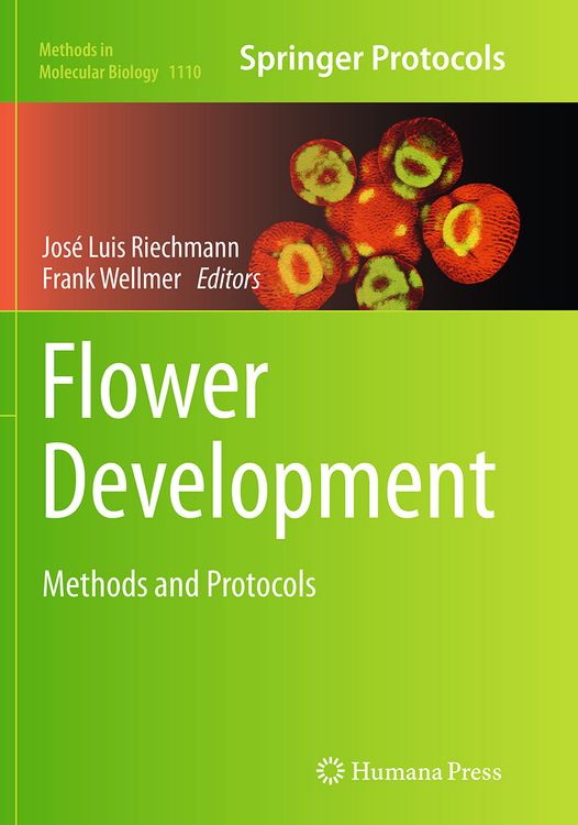 Produktbild: Flower Development