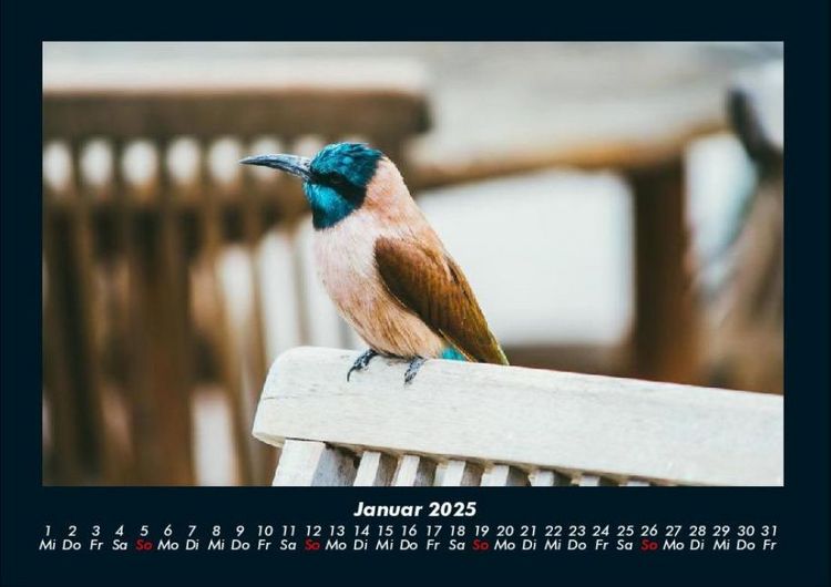 Produktbild: Tierkalender 2025 Fotokalender DIN A4