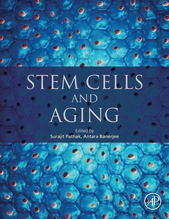 Produktbild: Stem Cells and Aging