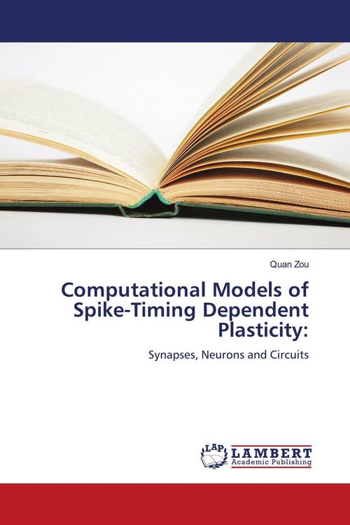 Produktbild: Computational Models of Spike-Timing Dependent Plasticity: