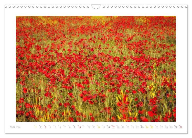 Produktbild: Streifzug durch die Provence (Wandkalender 2026 DIN A3 quer), CALVENDO Monatskalender