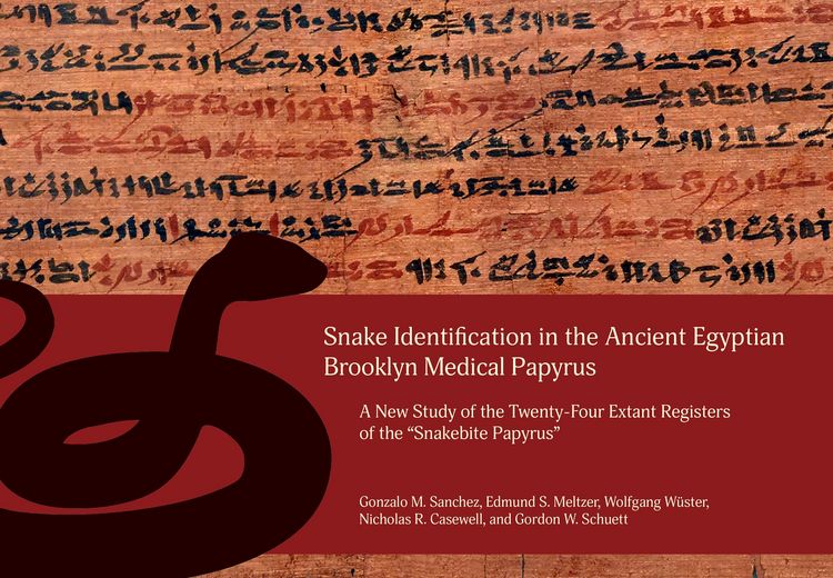 Produktbild: Snake Identification in the Ancient Egyptian Brooklyn Medical Papyrus