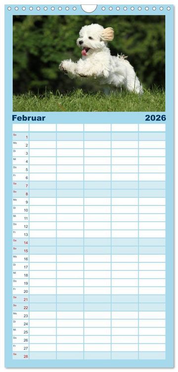 Produktbild: Familienplaner 2026 - Welpen - Puppies mit 5 Spalten (Wandkalender, 21 x 45 cm) CALVENDO