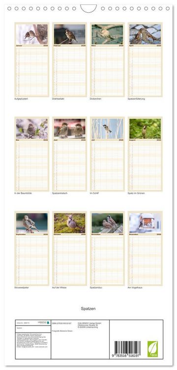 Produktbild: Familienplaner 2026 - Spatzen mit 5 Spalten (Wandkalender, 21 x 45 cm) CALVENDO