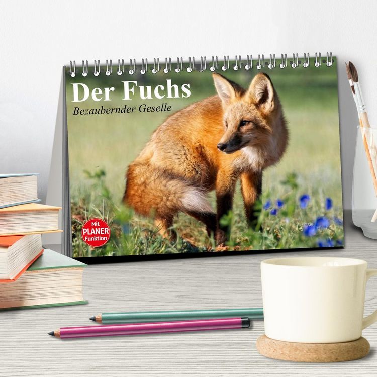 Produktbild: Der Fuchs. Bezaubernder Geselle (Tischkalender 2026 DIN A5 quer), CALVENDO Monatskalender