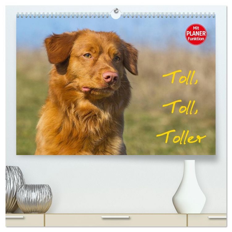 Produktbild: Toll, toll, Toller (hochwertiger Premium Wandkalender 2026 DIN A2 quer), Kunstdruck in Hochglanz