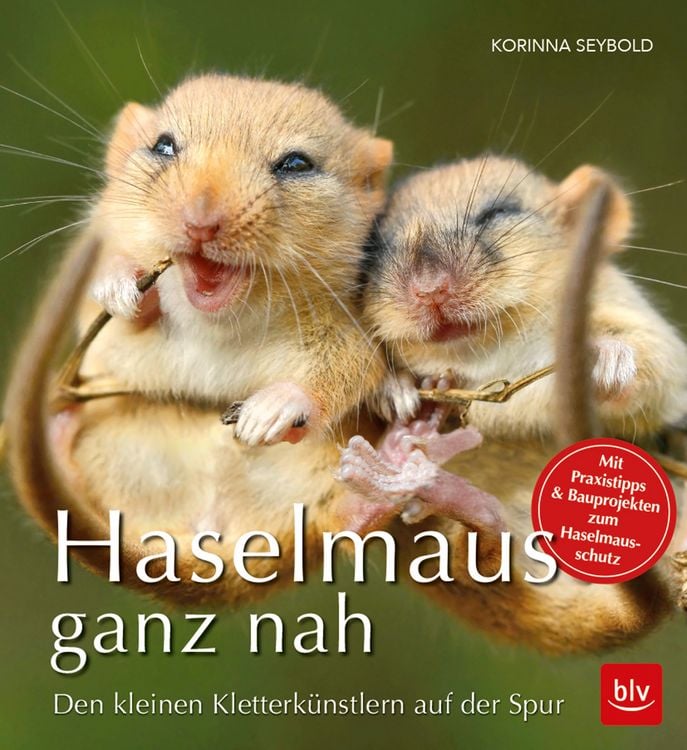 Produktbild: Haselmaus ganz nah