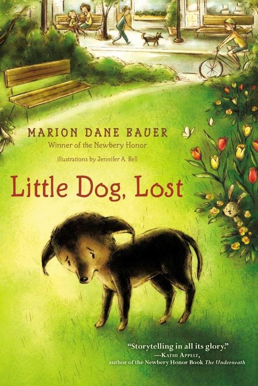 Produktbild: Little Dog, Lost