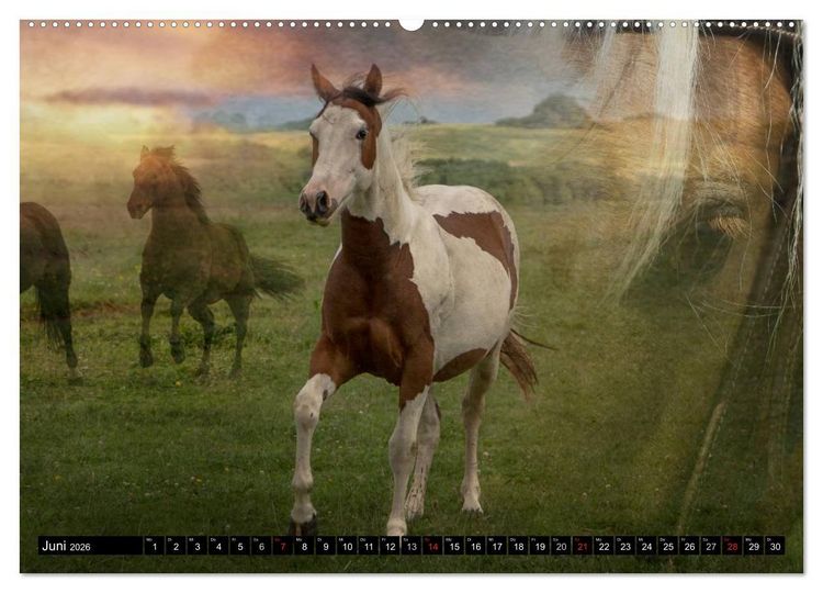 Produktbild: Western und Pferde (hochwertiger Premium Wandkalender 2026 DIN A2 quer), Kunstdruck in Hochglanz