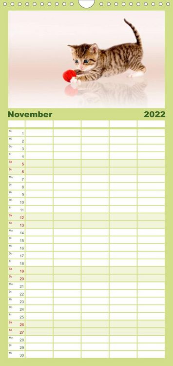 Produktbild: Familienplaner K&auml;tzchen 2022 (Wandkalender 2022 , 21 cm x 45 cm, hoch)