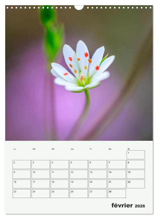 Produktbild: Les fleurs, &eacute;ternelles &eacute;phem&egrave;res (Calendrier mural 2026 DIN A3 horizontal), CALVENDO calendrier mensuel