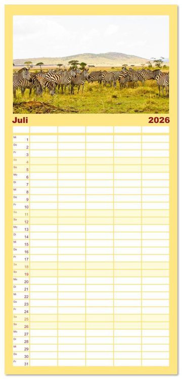 Produktbild: Familienplaner 2026 - Zebras - Die gestreiften Vierbeiner. mit 5 Spalten (Wandkalender, 21 x 45 cm) CALVENDO