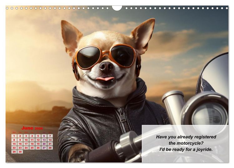 Produktbild: Great fun for Chihuahua lovers (Wall Calendar 2026 DIN A3 landscape), CALVENDO 12 Month Wall Calendar
