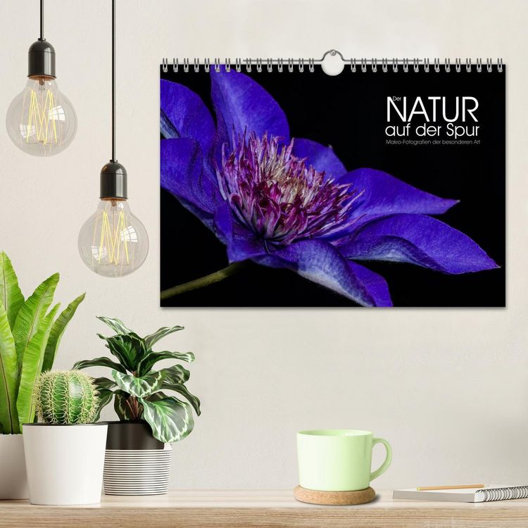Produktbild: Der Natur auf der Spur - Makro-Fotografien der besonderen Art (Wandkalender 2026 DIN A4 quer), CALVENDO Monatskalender