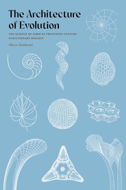 Produktbild: The Architecture of Evolution