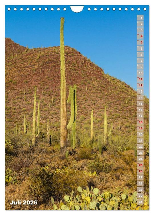 Produktbild: SAGUARO NATIONAL PARK W&uuml;stenimpressionen aus Arizona (Wandkalender 2026 DIN A4 hoch), CALVENDO Monatskalender