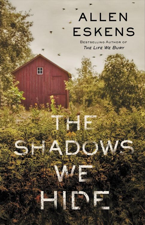 Produktbild: The Shadows We Hide