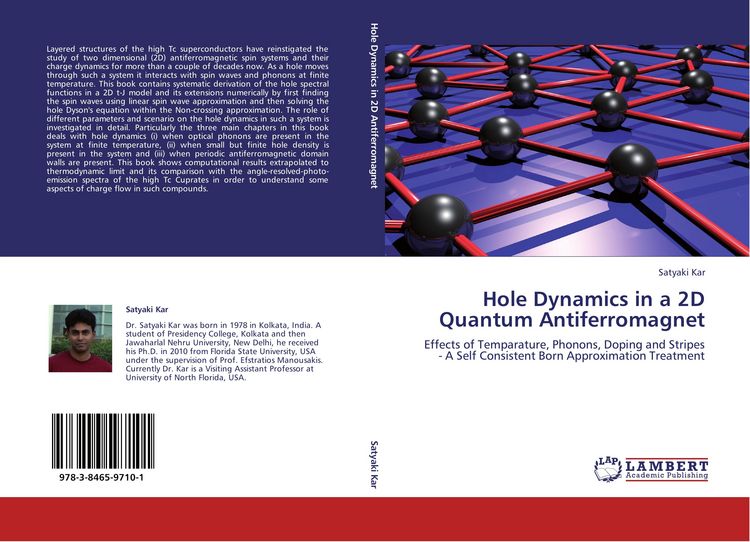 Produktbild: Hole Dynamics in a 2D Quantum Antiferromagnet