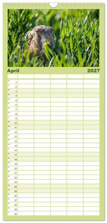 Produktbild: Familienplaner 2027 - Emotionale Momente: Wild und Jagd. mit 5 Spalten (Wandkalender, 21 x 45 cm) CALVENDO