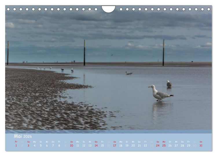 Produktbild: Mein St.Peter-Ording (Wandkalender 2026 DIN A4 quer), CALVENDO Monatskalender