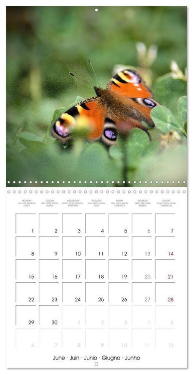 Produktbild: Blt, S: Esp&egrave;ces de Nouvelle Aquitaine (Calendrier mural carr