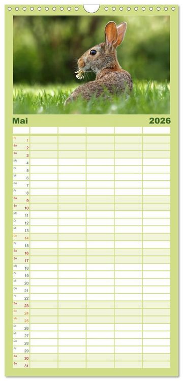 Produktbild: Familienplaner 2026 - Feldhasen und Kaninchen mit 5 Spalten (Wandkalender, 21 x 45 cm) CALVENDO